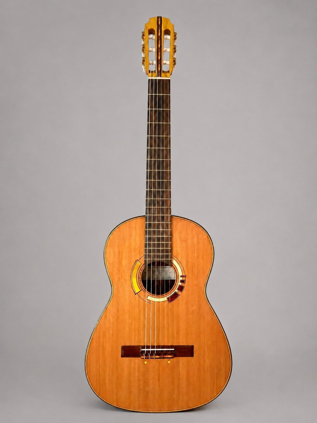 Guitarra clásica de concierto