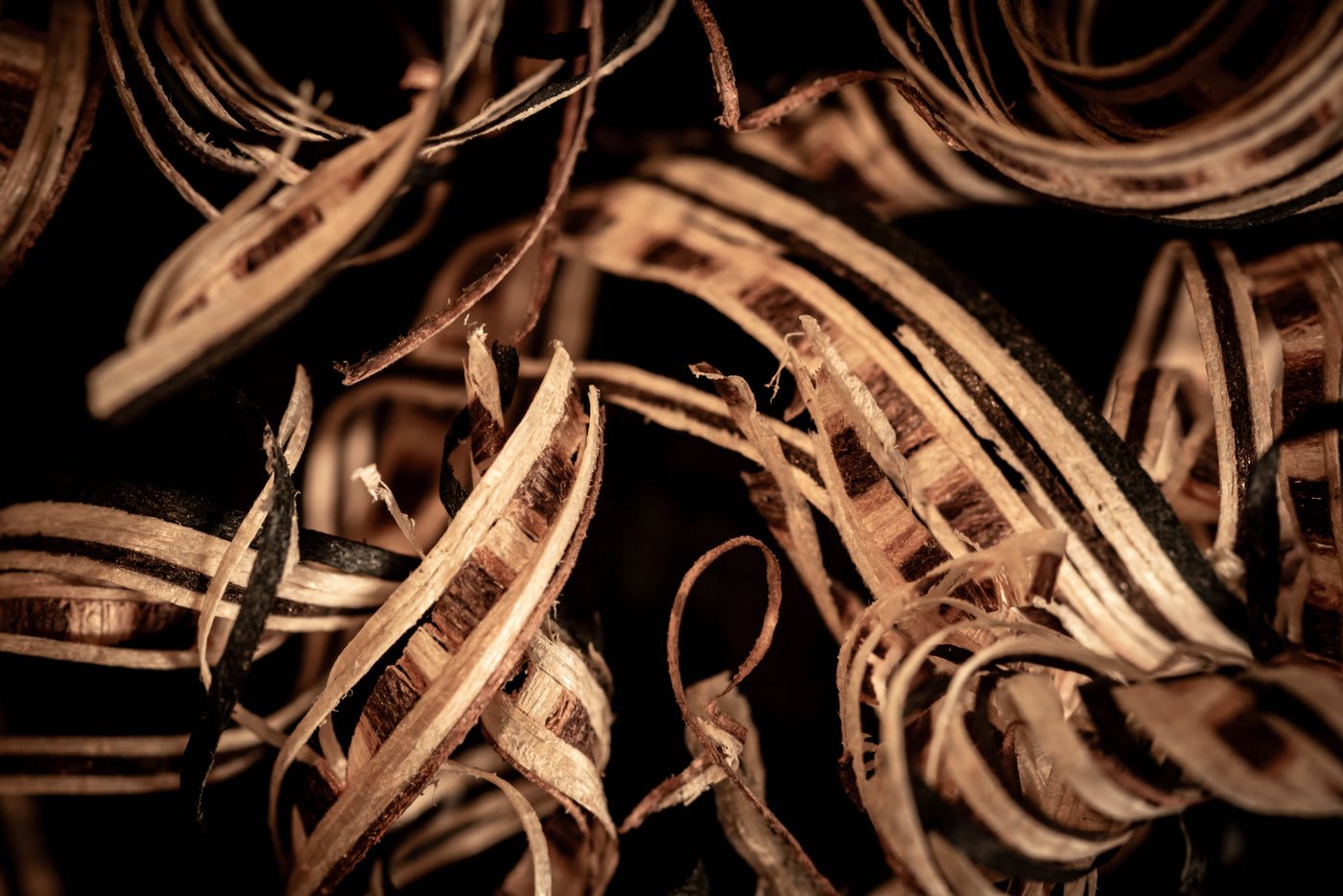 Virutas de madera en el taller
